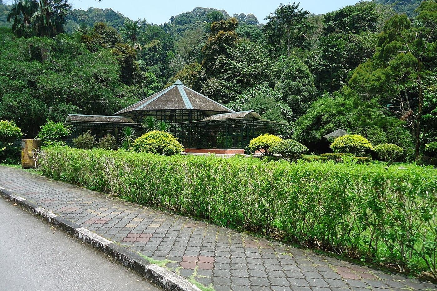 Gardens And Parks Of Penang