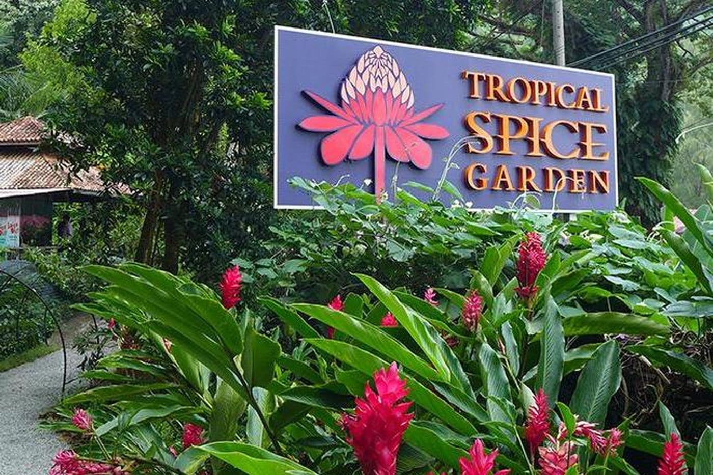 Gardens And Parks Of Penang
