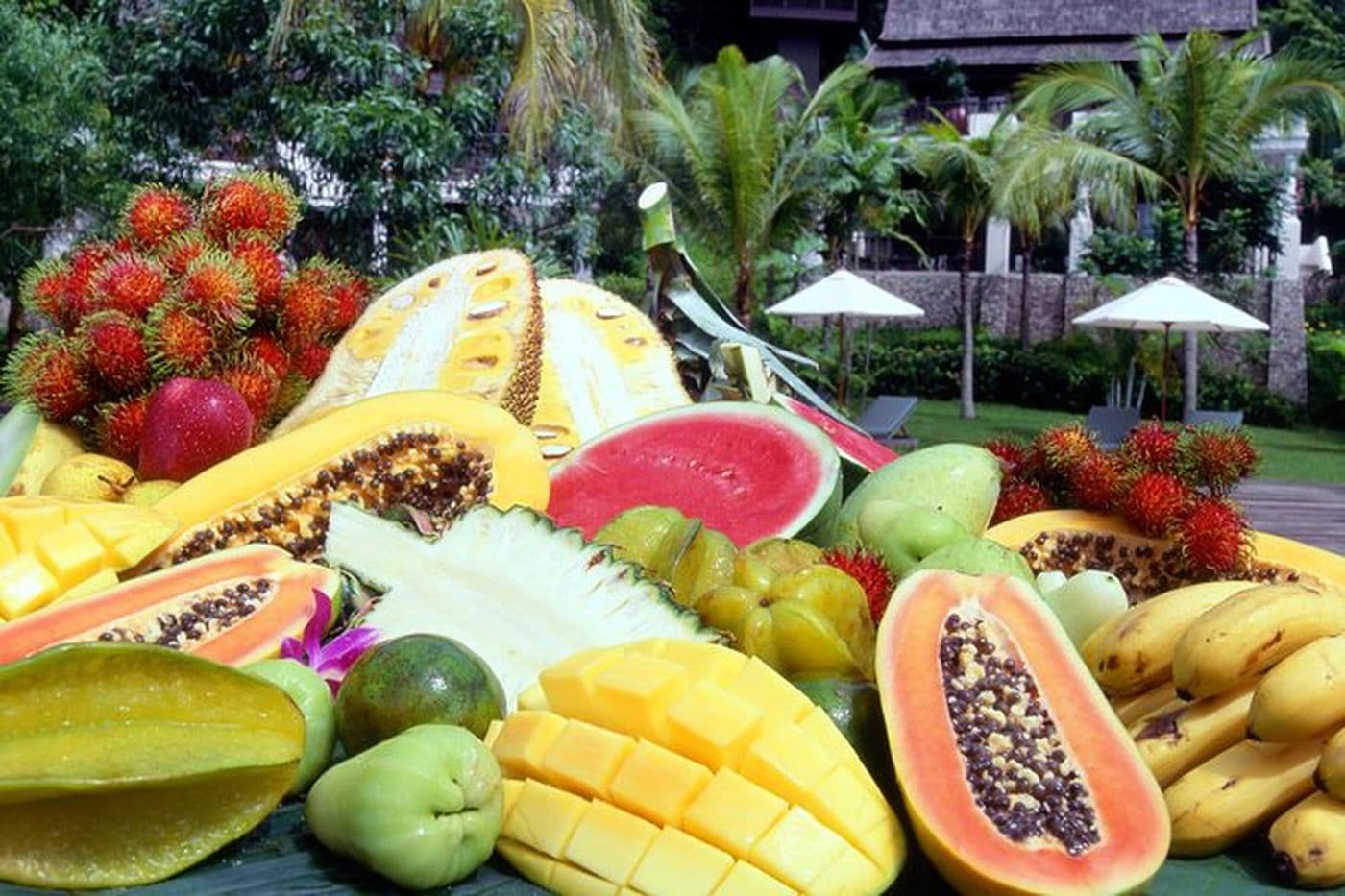 Gardens And Parks Of Penang
