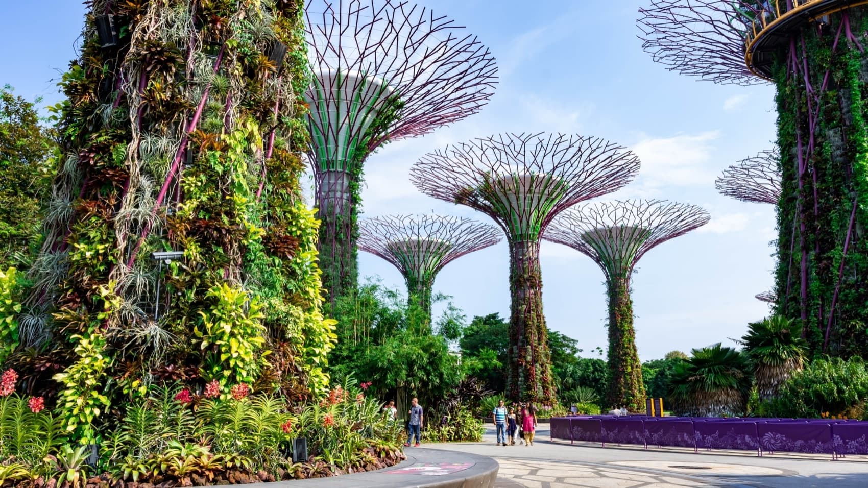 Singapore, 5