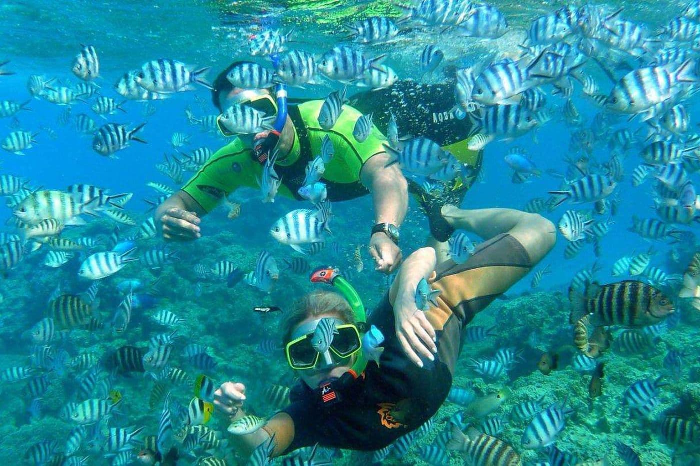 Adventure To Payar Island