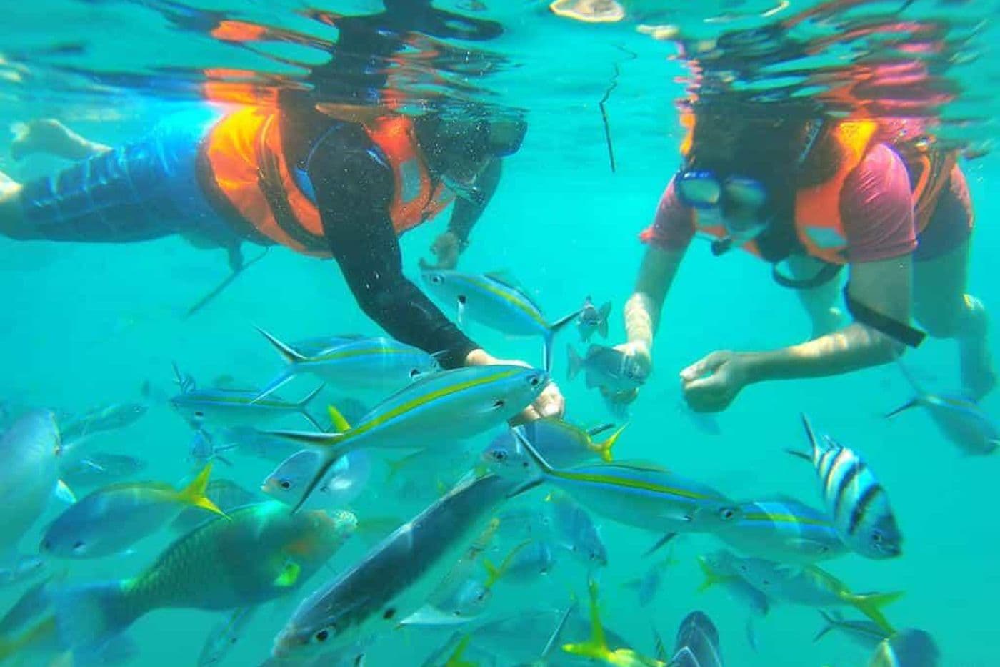Adventure To Payar Island