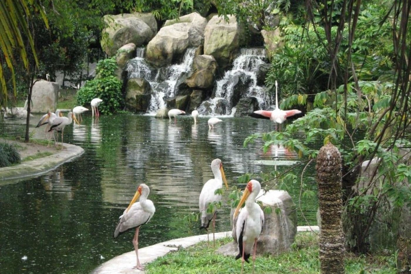 Bird Park + Kuala Lumpur