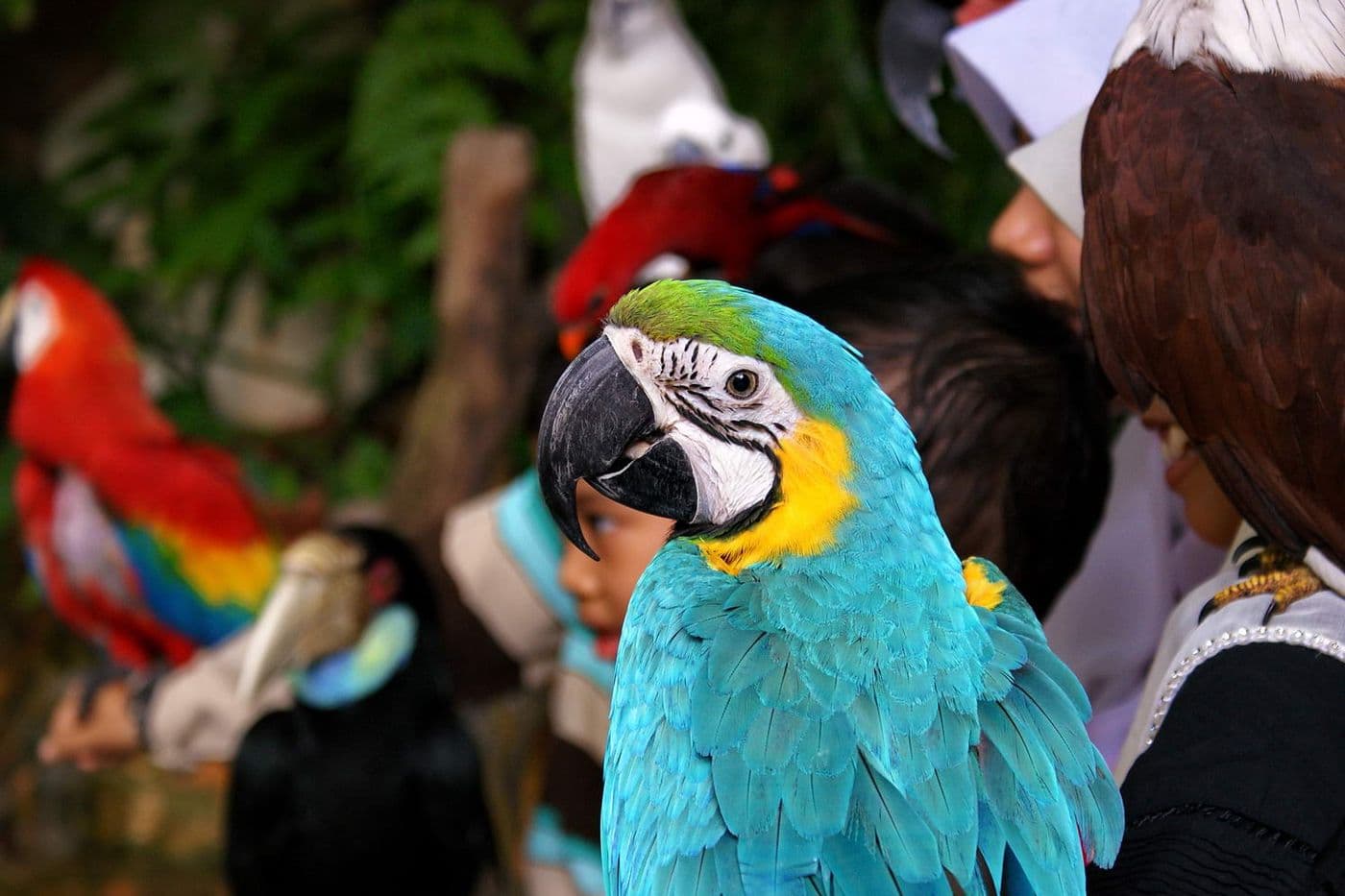 Bird Park + Kuala Lumpur