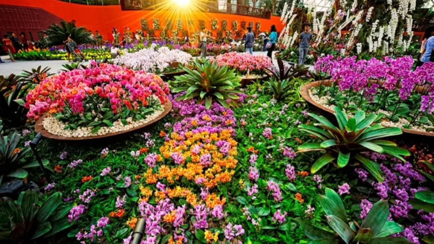 Gardens By The Bay