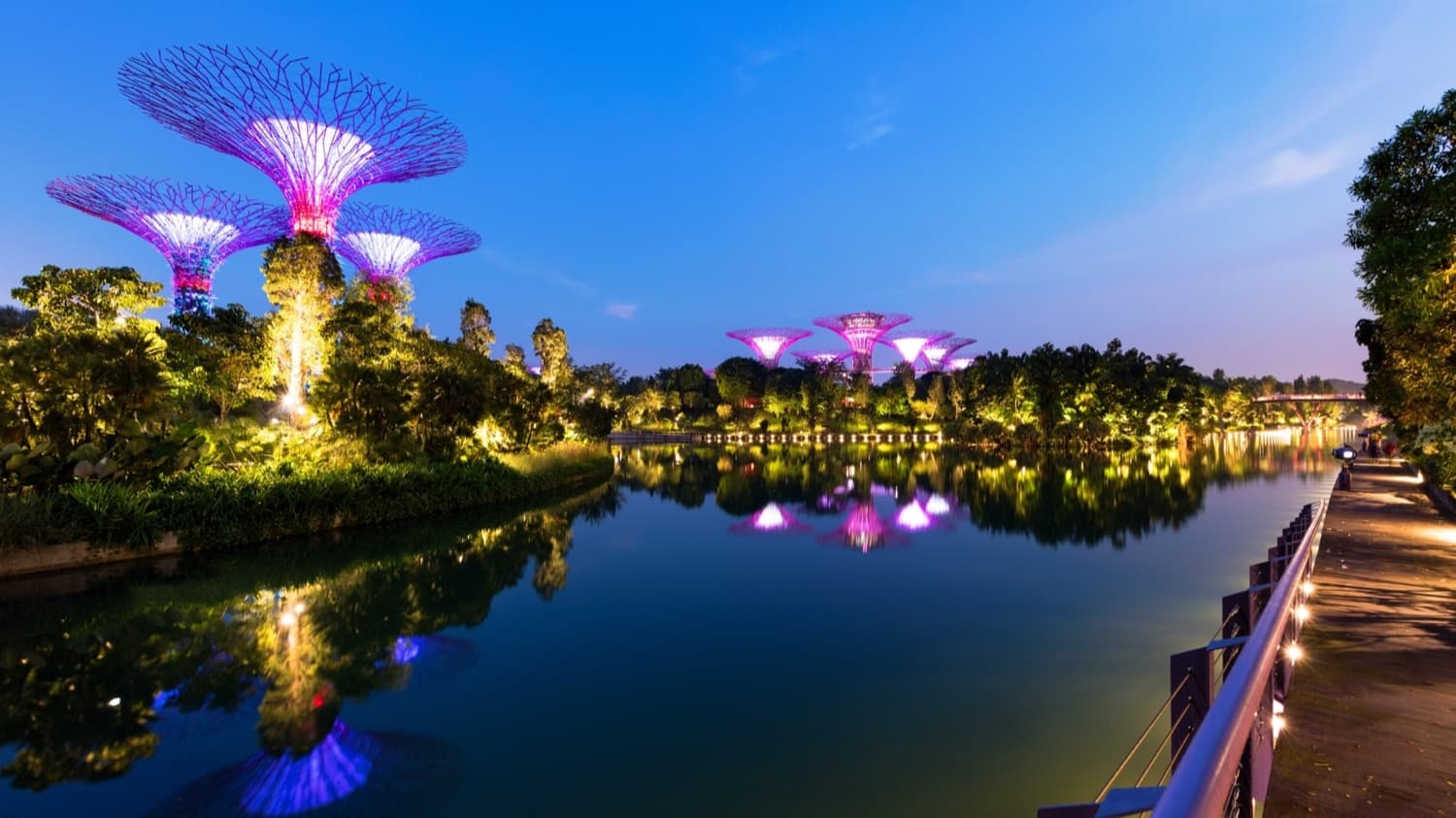 Gardens By The Bay
