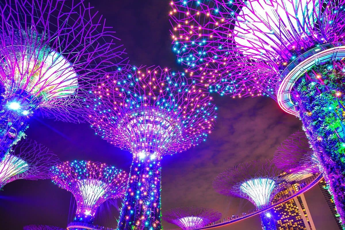 Gardens By The Bay + Observation Deck Or Singapore Flyer