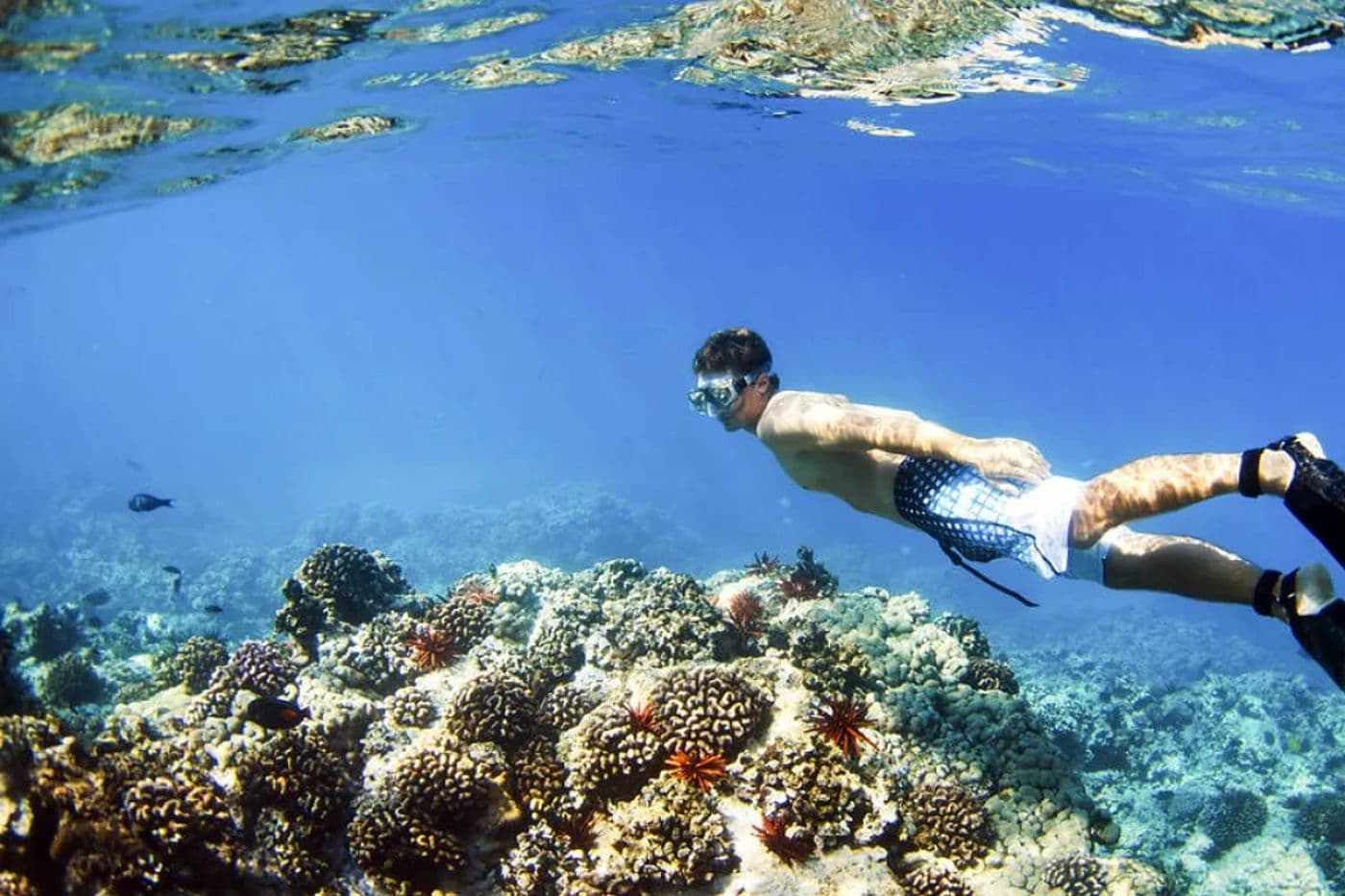 Manukan Island