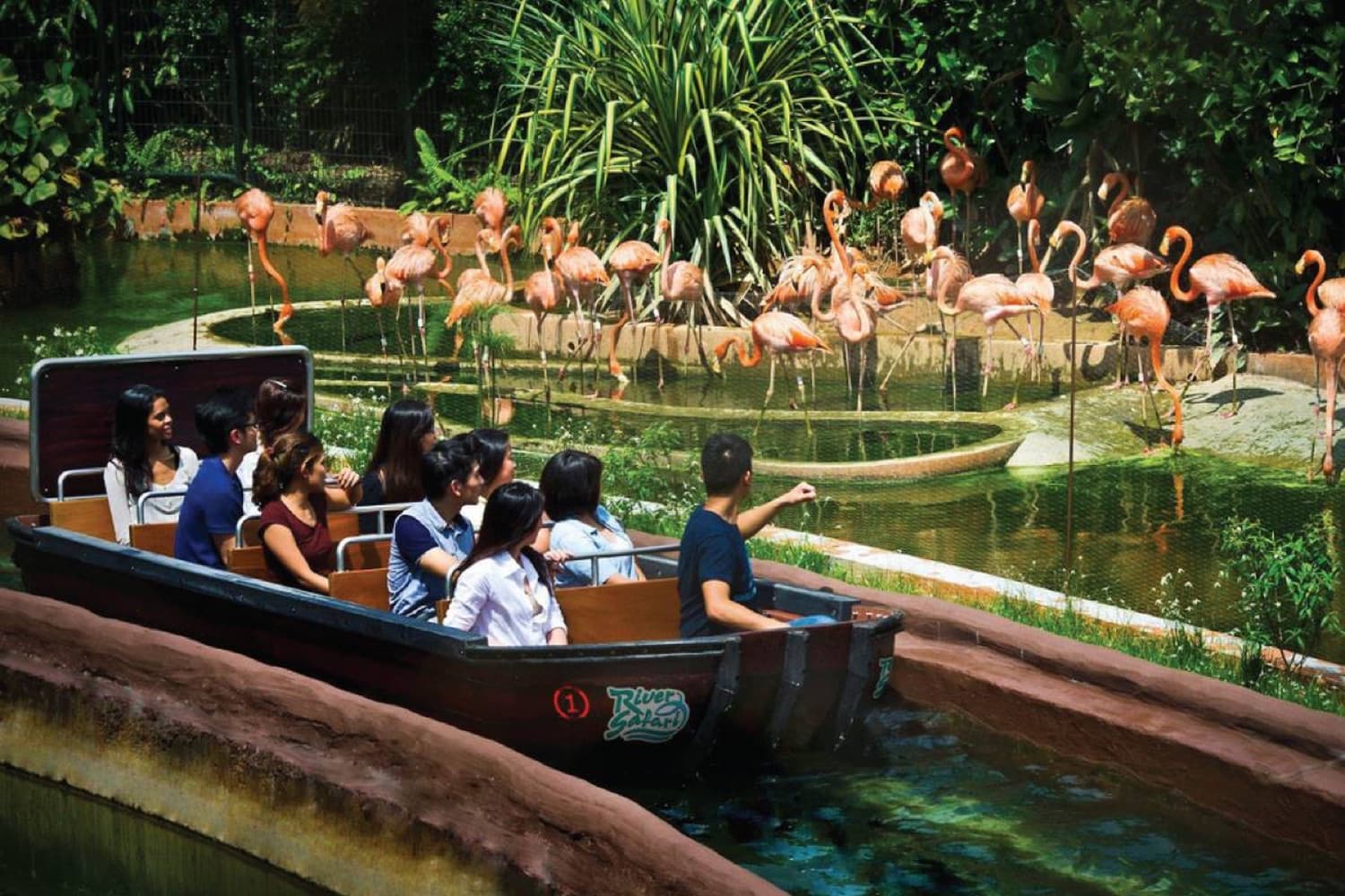 River Safari