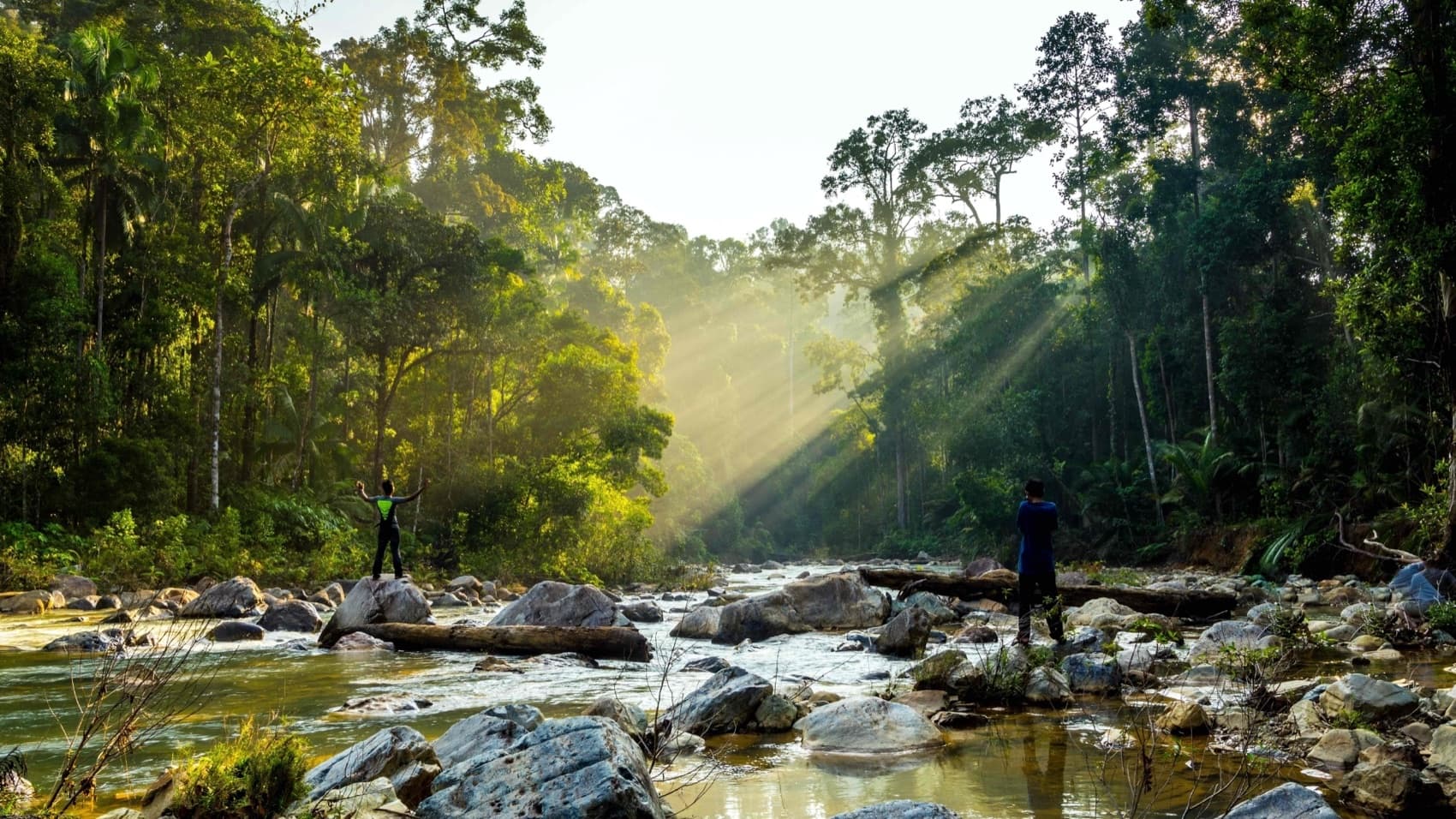Sandakan Tour, In Search Of Proboscis Monkeys And Orangutans