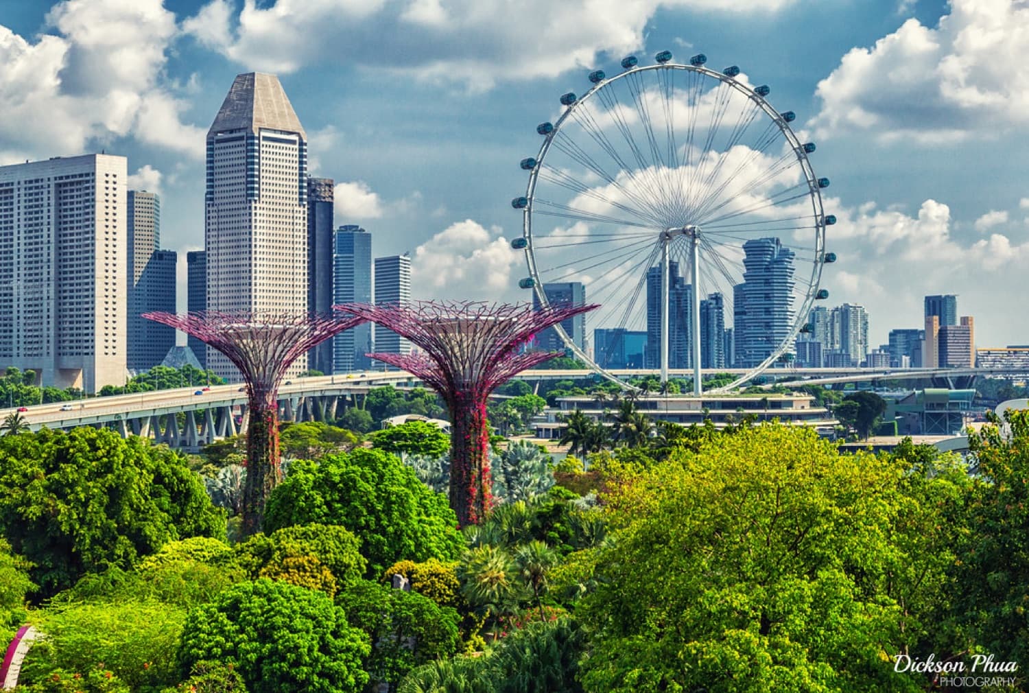 Singapore Walking Tour