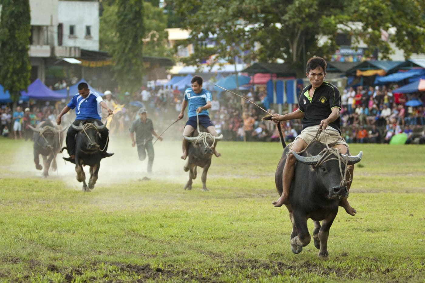 Tenom Agricultural Park