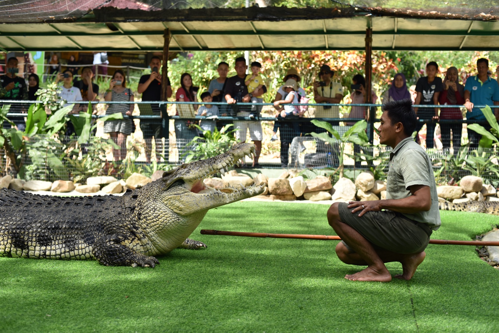 Crocodile Adventureland