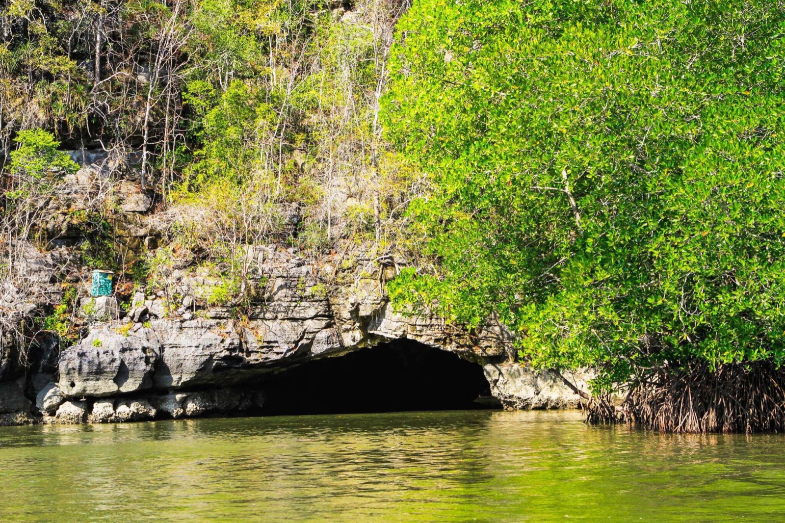 Crocodile Cave