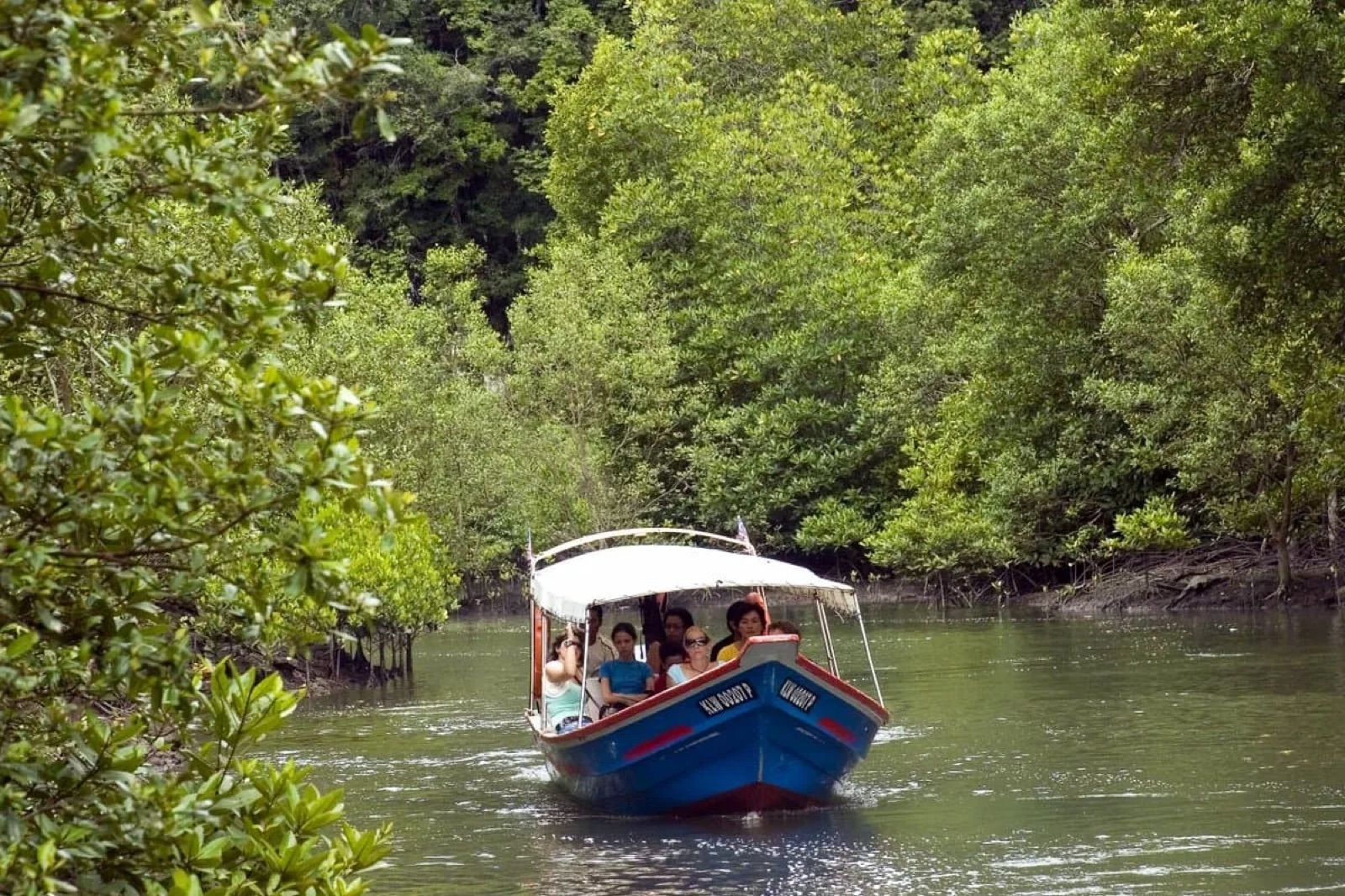 Geoforest Boat Expeditions