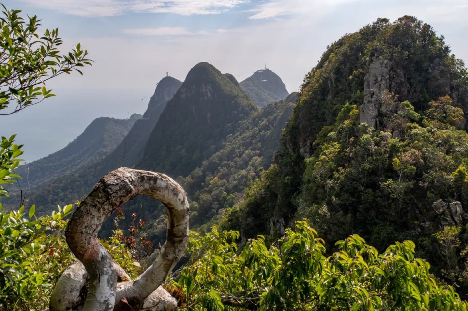 Jungle Trekking Experiences