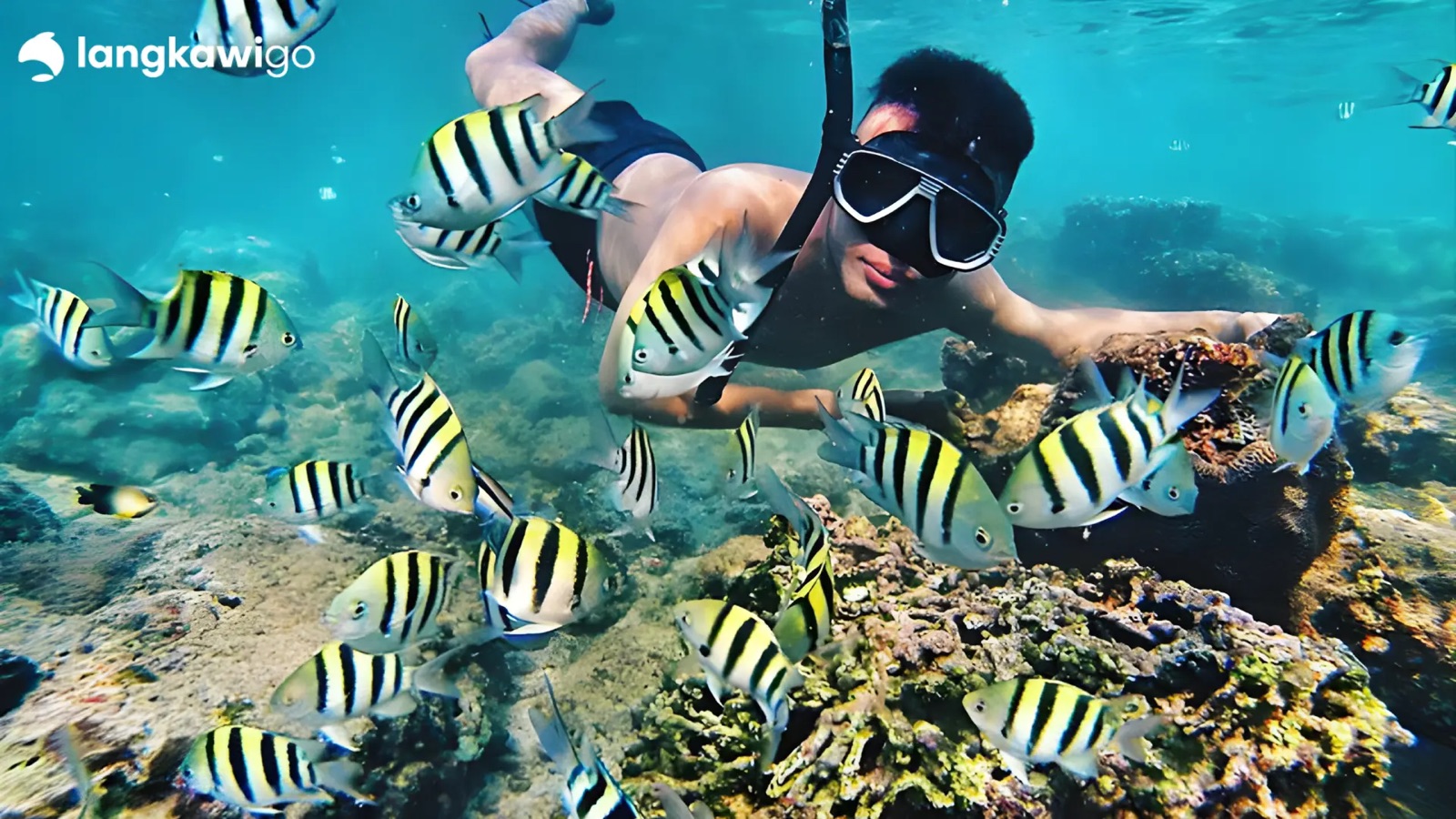 Snorkeling Tours