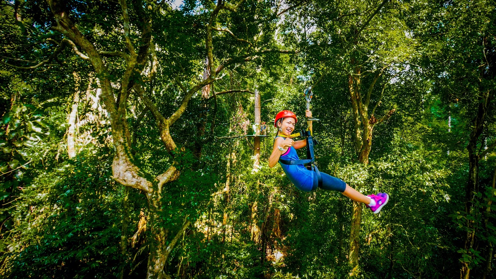 Zipline Experiences