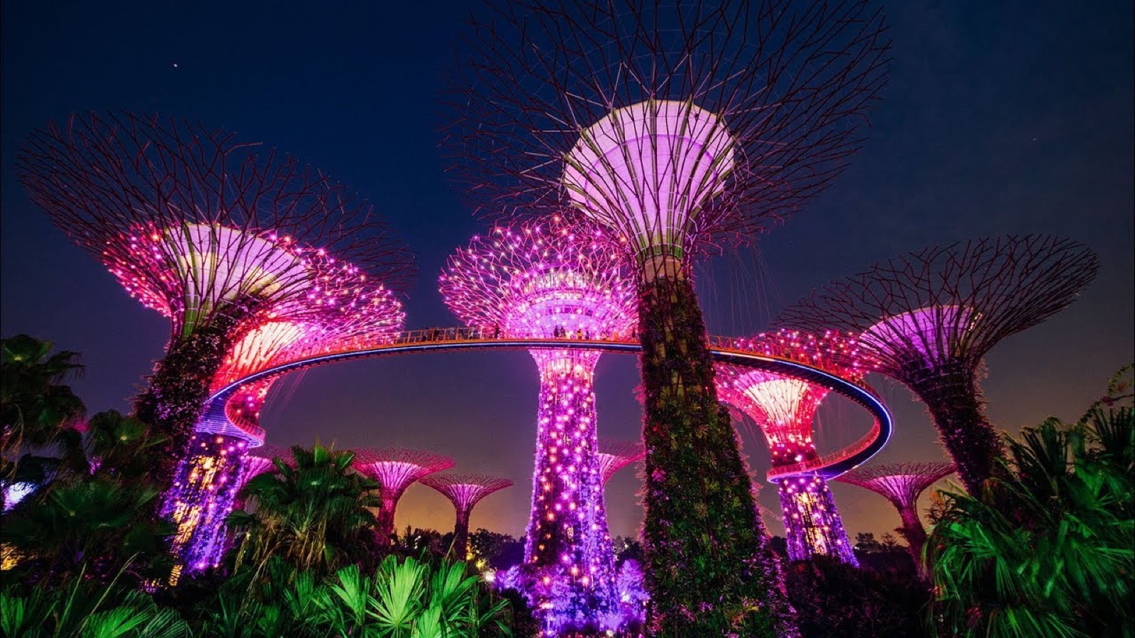 Garden Rhapsody Light Show