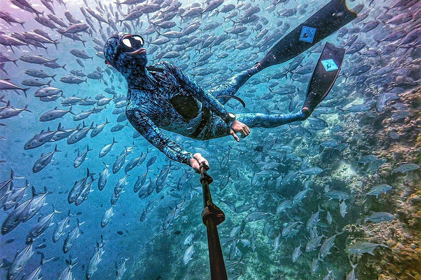 Excursions from Sabah