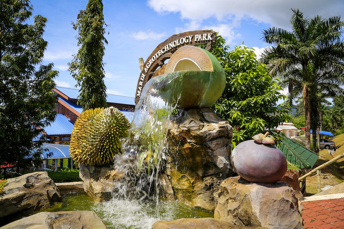 Langkawi Island Tour